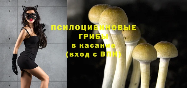 метадон Беломорск