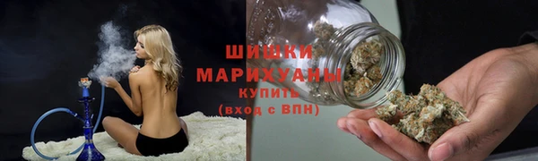 хмурый Богородск