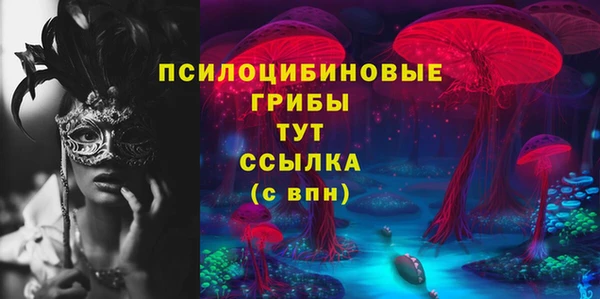 гашиш Богданович