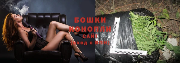 гашиш Богданович