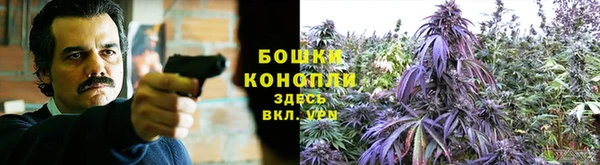 МДМА Белокуриха